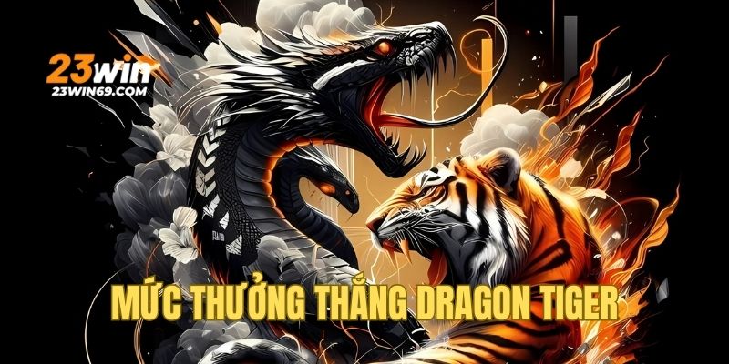 Mức thưởng thắng cực hấp dẫn dành cho hội viên Dragon Tiger